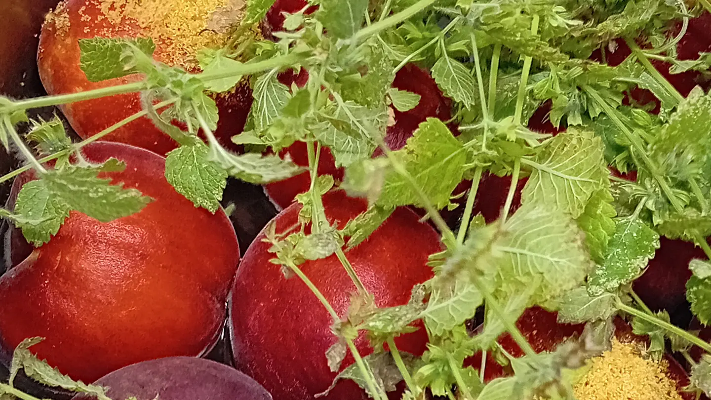 Recette plat Court-Circuit