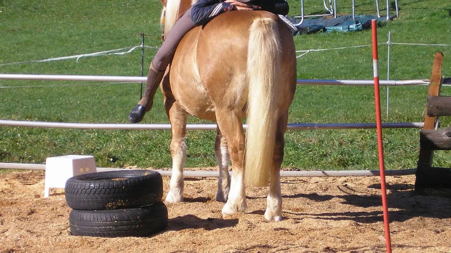 Le Poney Cernaise