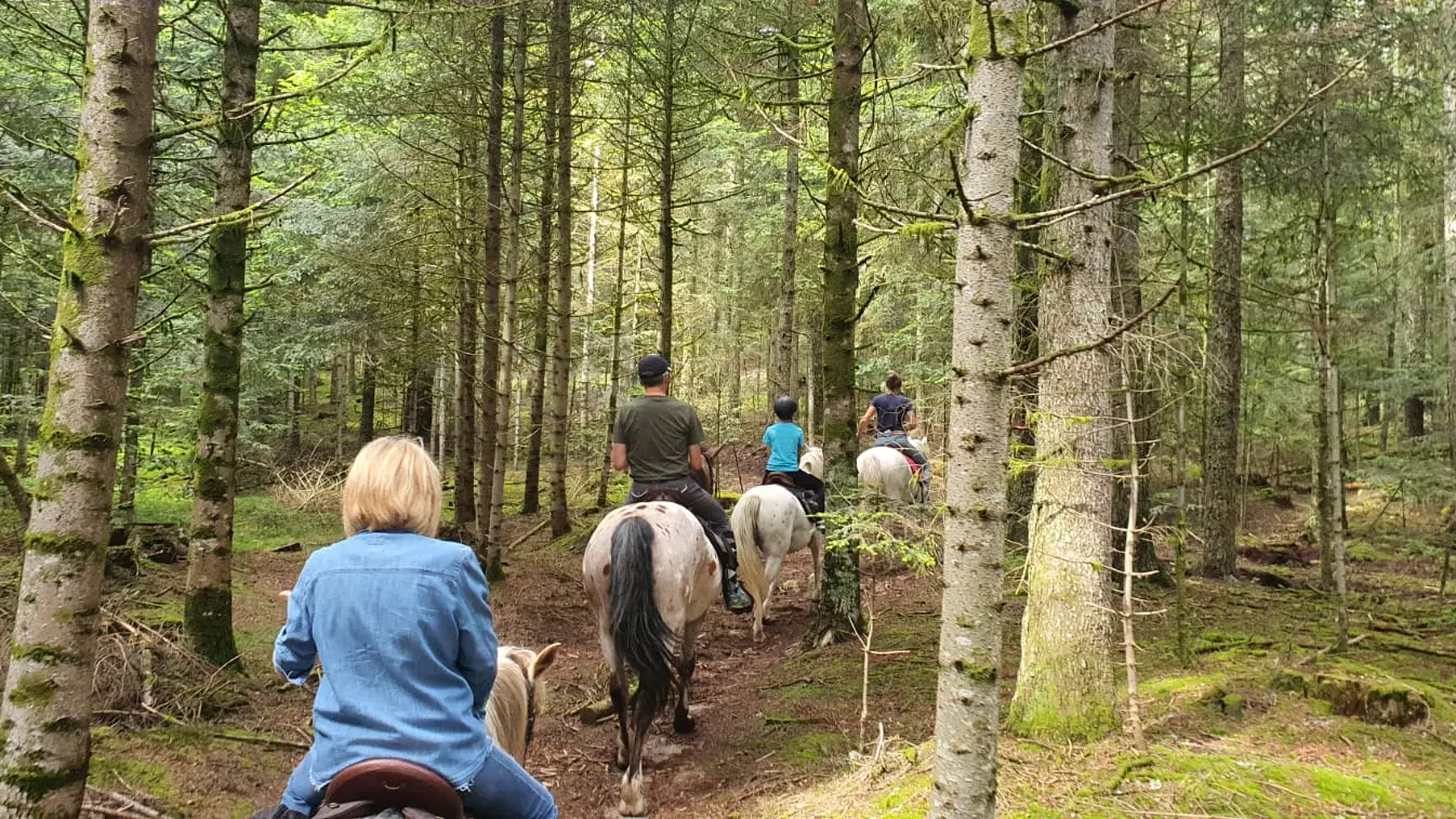 Balade à cheval