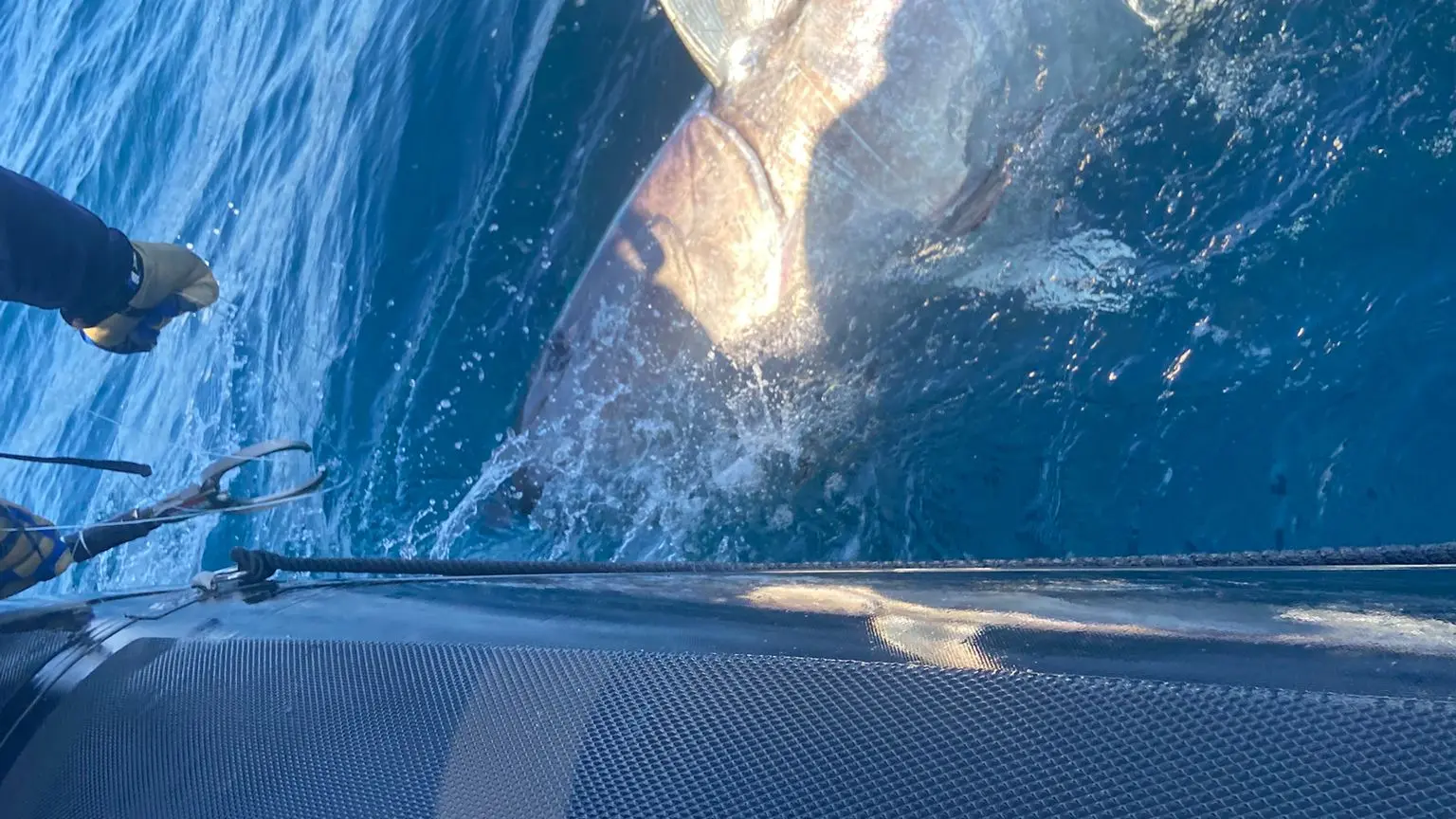 Pêche en mer au gros