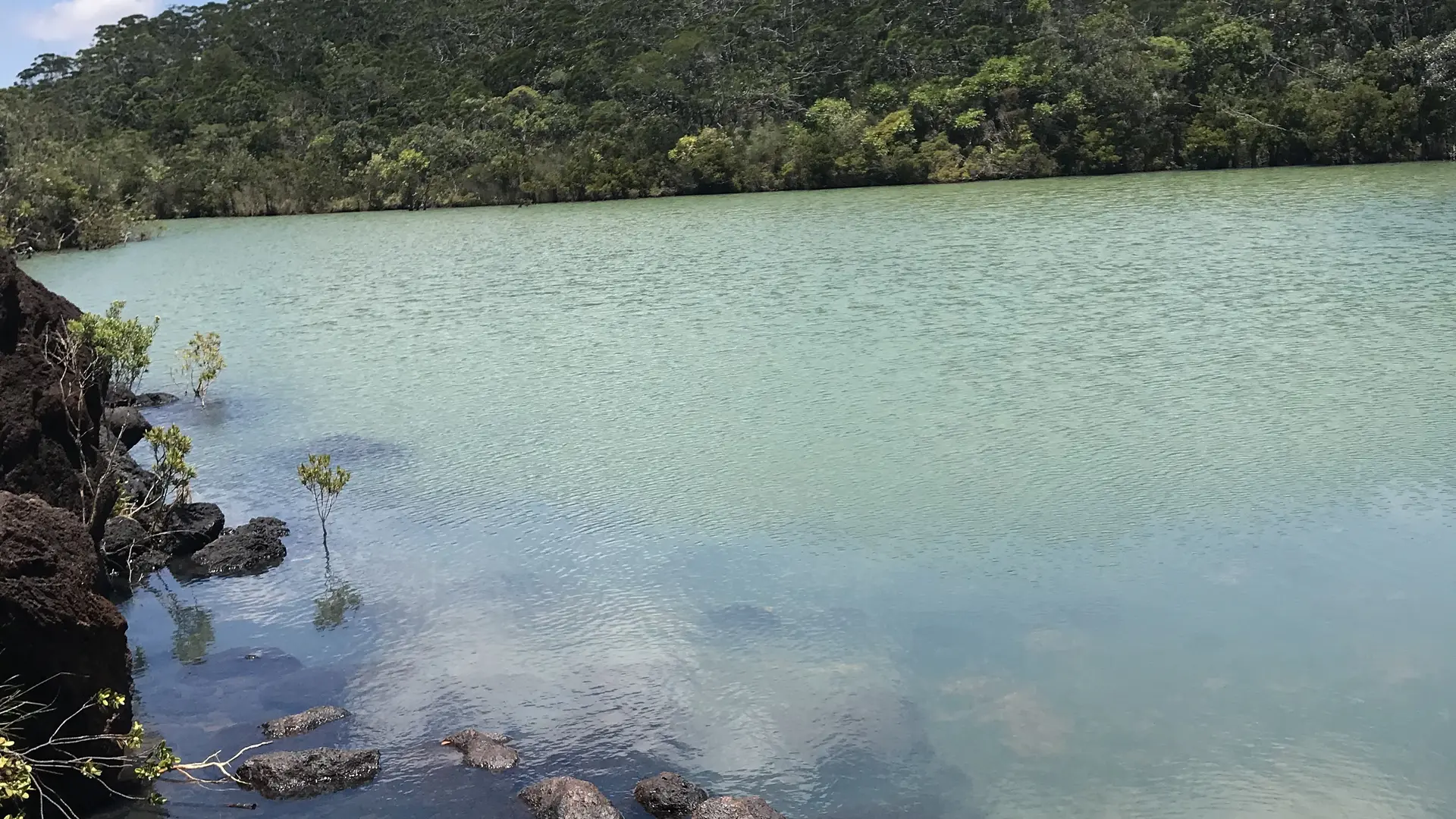 Laissez-vous séduire par ce trou d'eau du Creek Pernod !