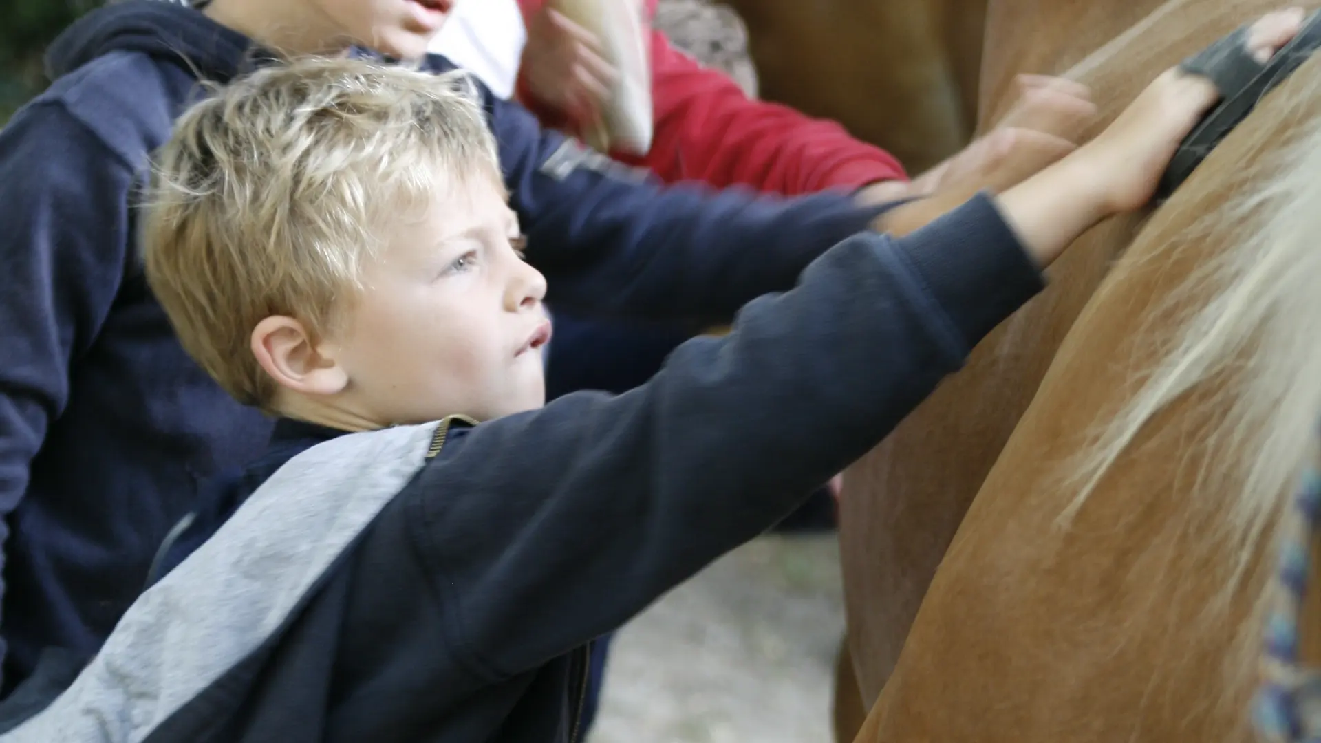 enfants et chevaux