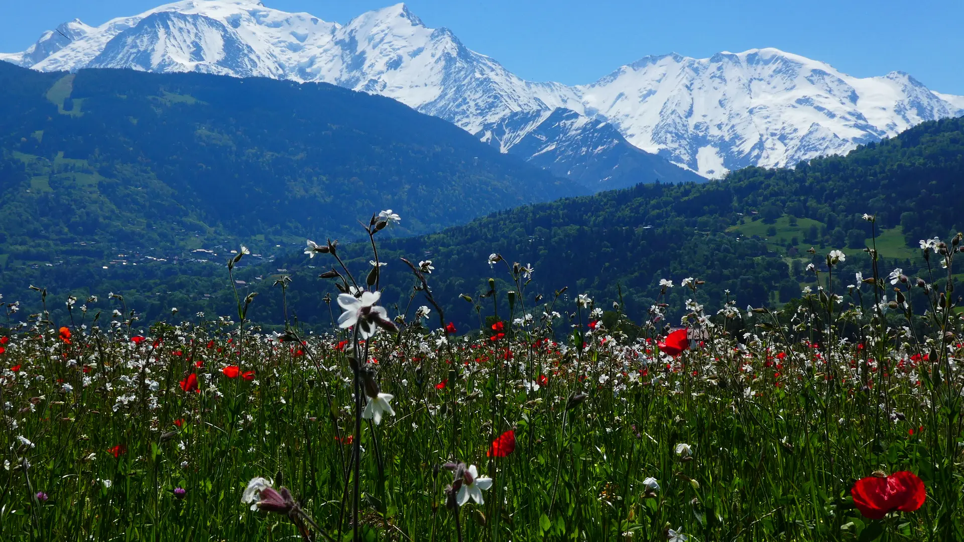 Vue Mont Blanc depuis la vallée de l'Arve