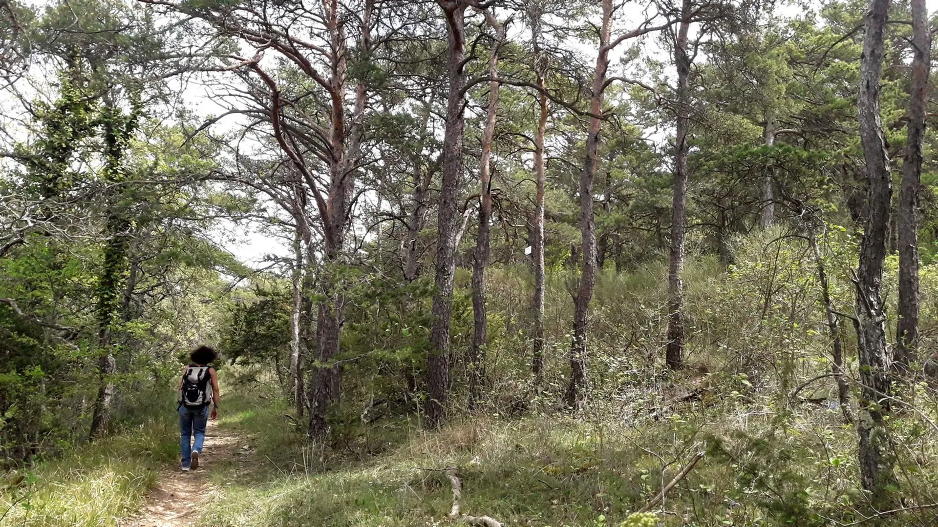 Sur le sentier de Piégros