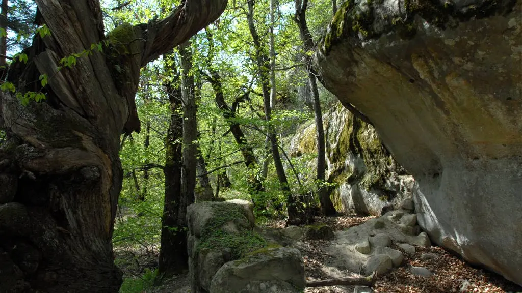 Sentier de Baume Longe