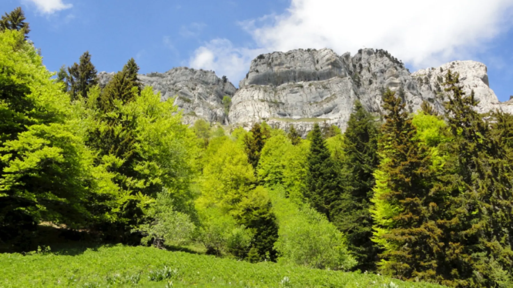 Massif de Chartreuse