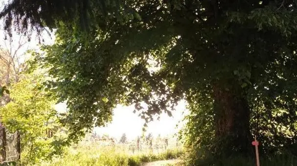 Chemin vers le bois de Rottecorde, accès itinéraires de randonnée