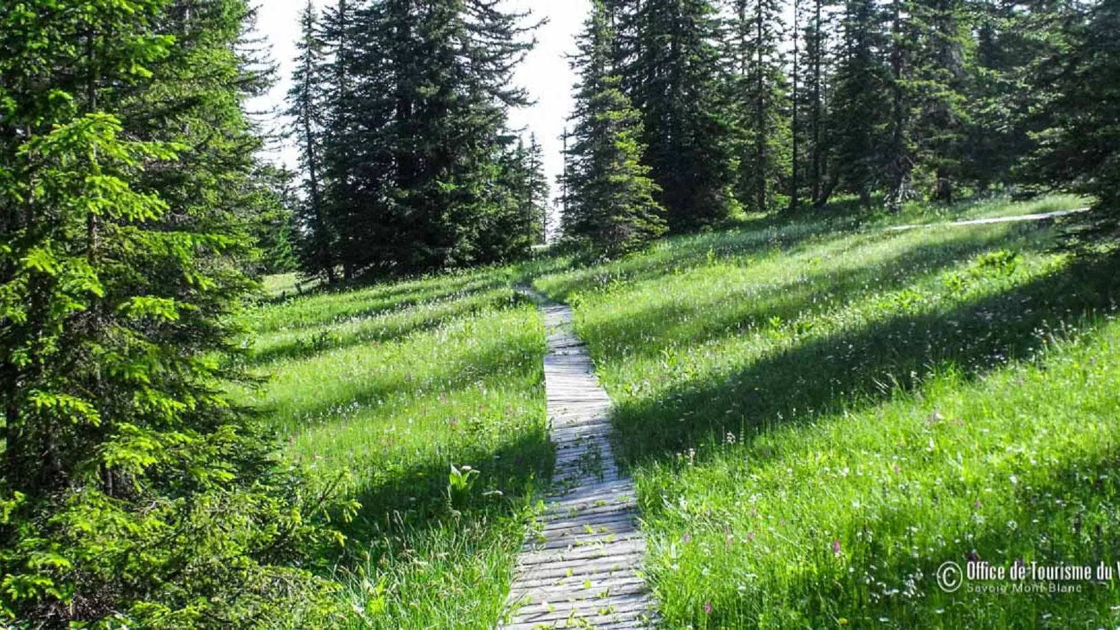 Sentier à thème de Covetan à Notre Dame de Bellecombe