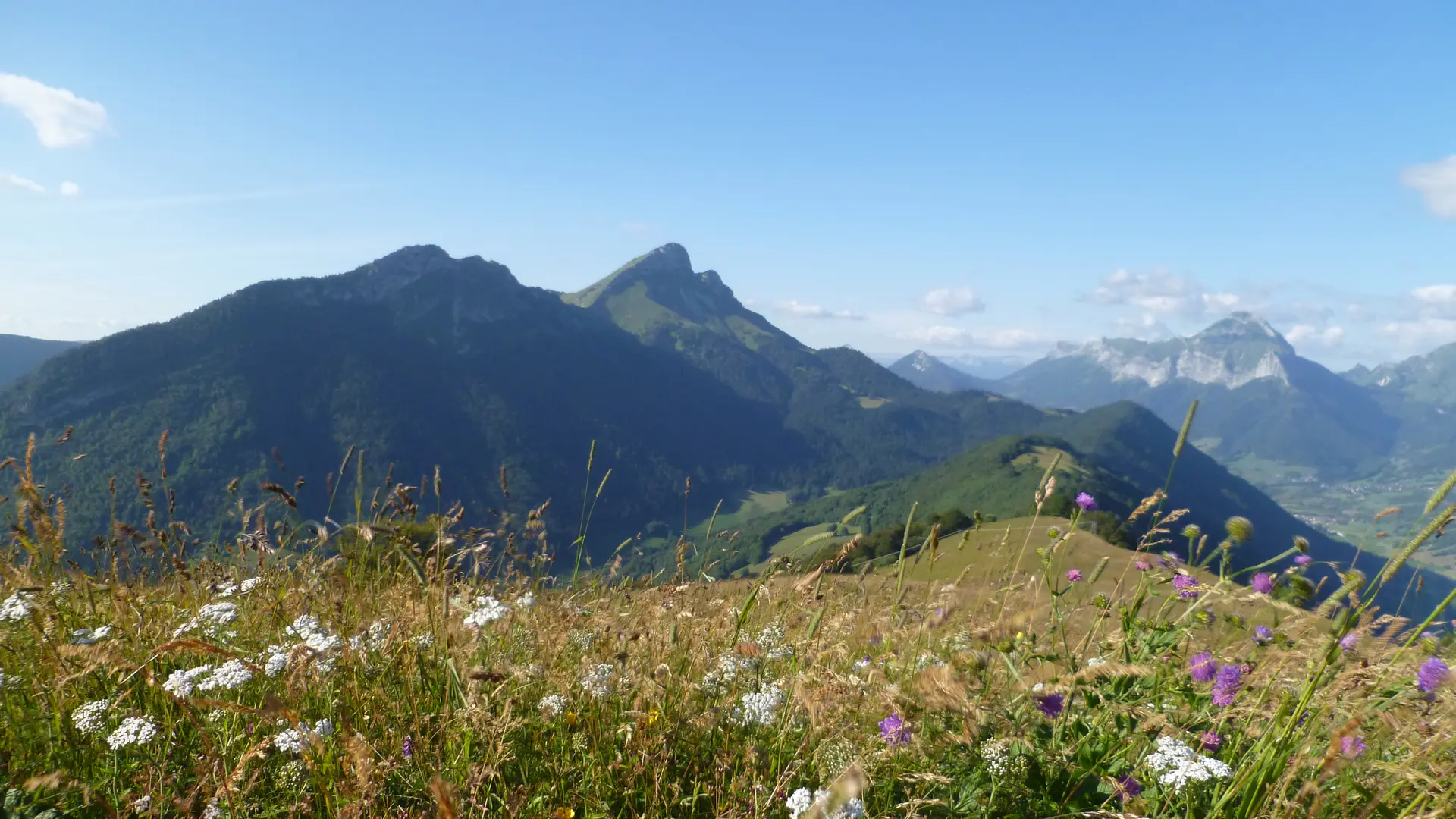 le Mont Colombier depuis le Mont Pelat