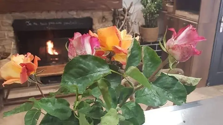 Le Bistrot - Marie & Vincent