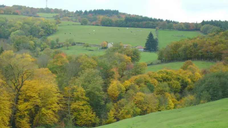 Vue depuis le gîte