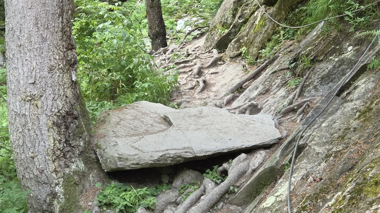 Début_main_courante