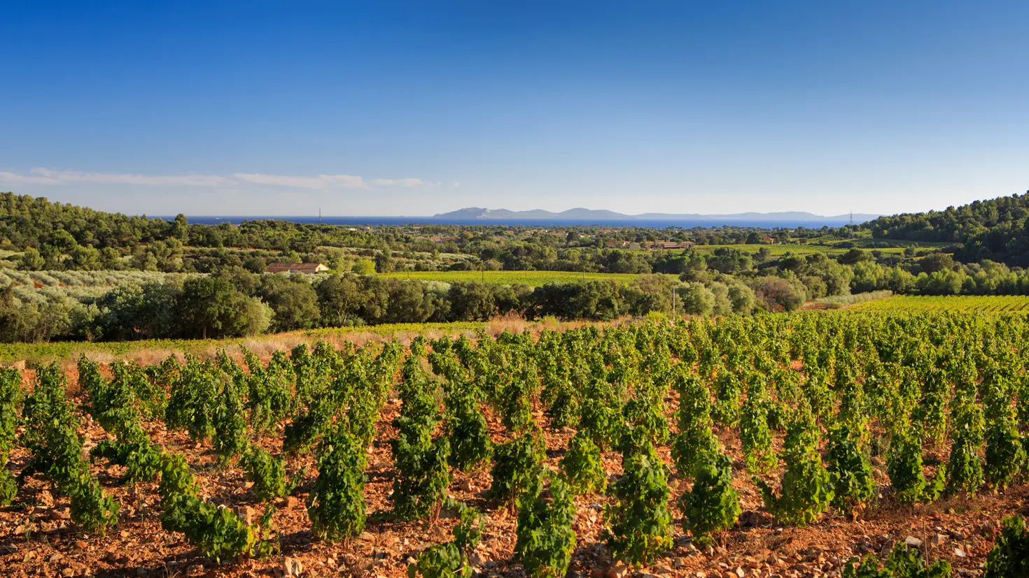 Château Les Valentines - La Londe les Maures