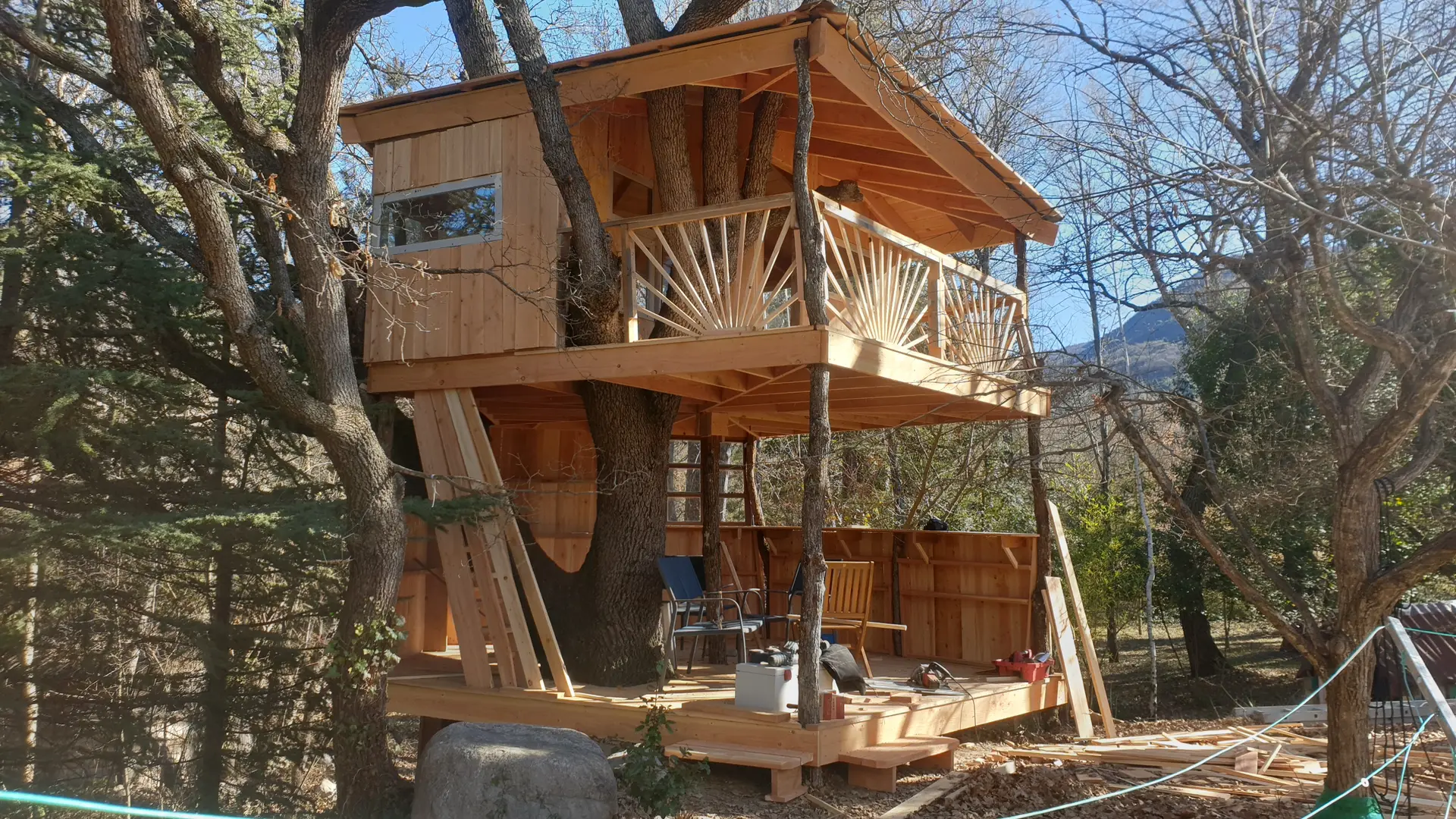 Cabane autour d'un arbre