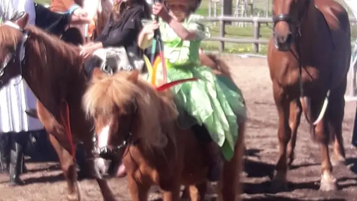Le Poney Cernaise