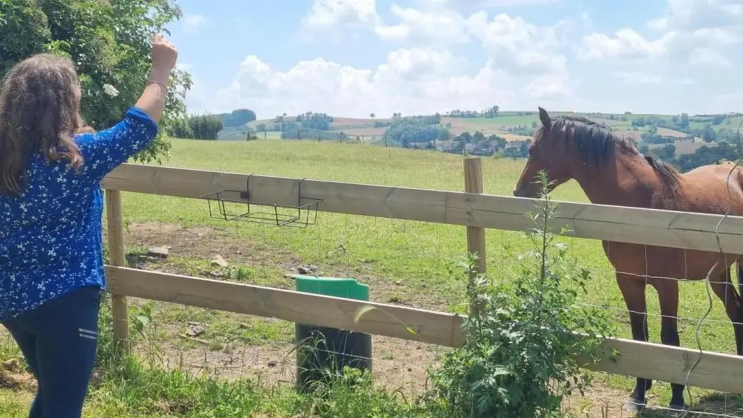 Élevage de poneys sur place, les maître de nos amis les animaux devront être vigilants.