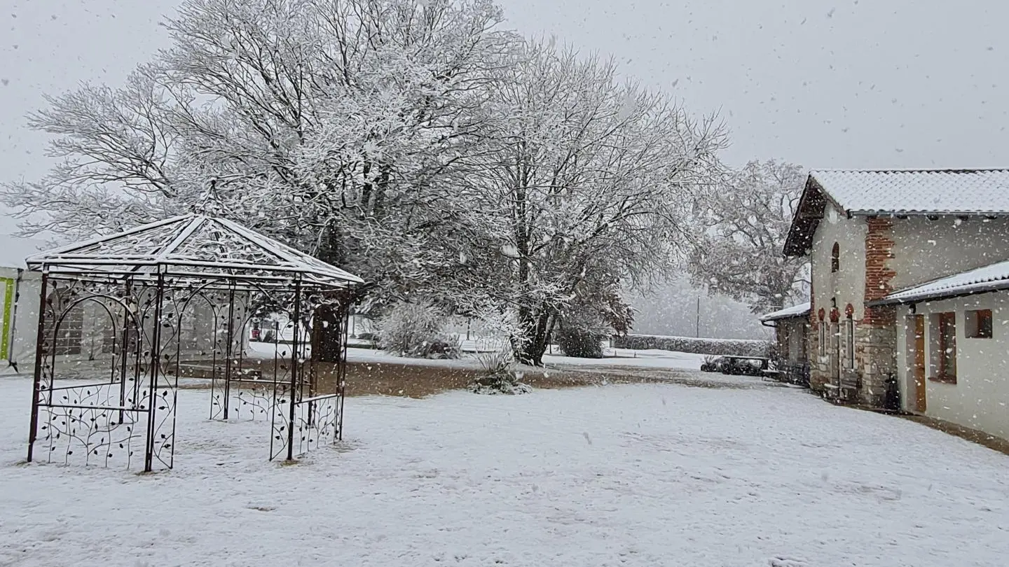 Sous la neige!
