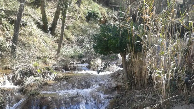 Le Bayon ce petit torrent coule au pied du Moulin