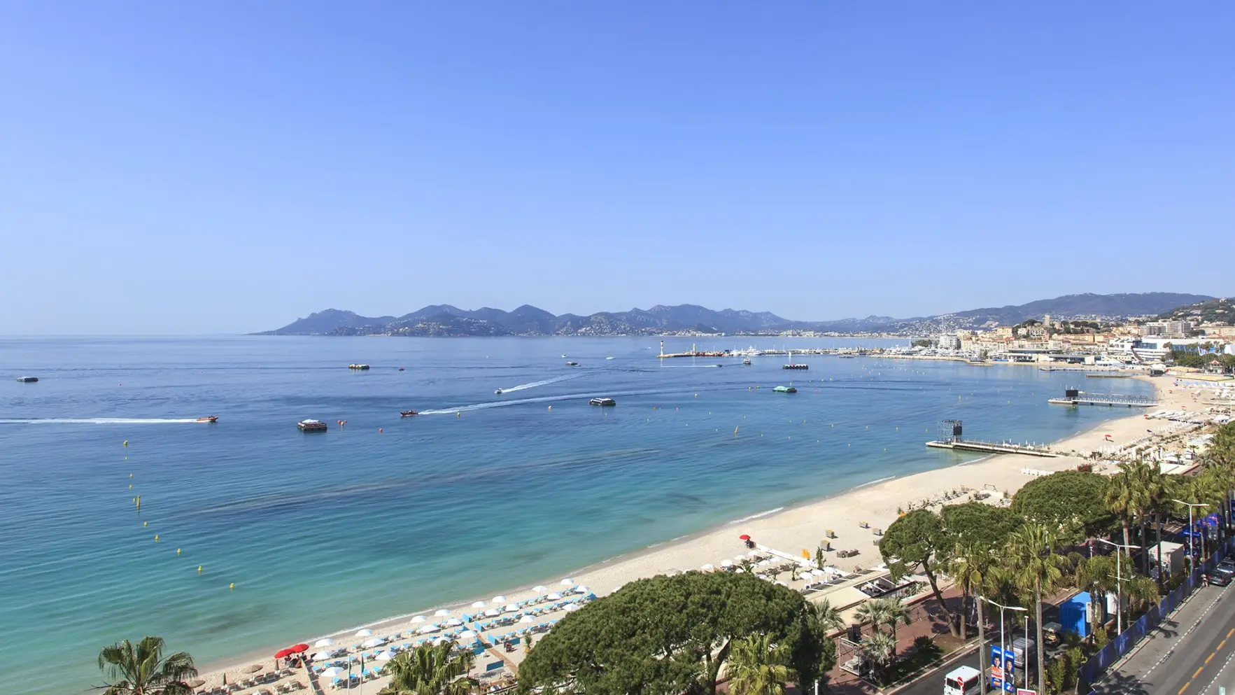 Impact Cannes_Cannes