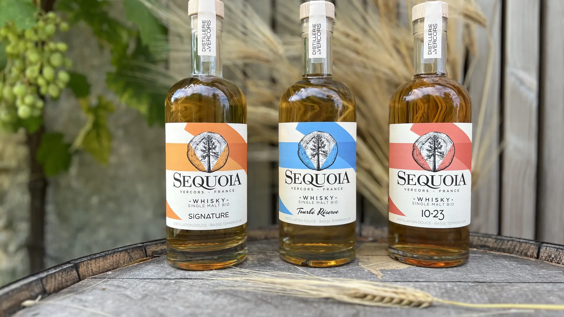Whisky Single Malt SEQUOIA 2023