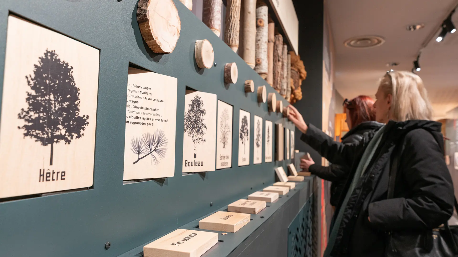 Maison du Bois et de la Forêt de Méolans-Revel