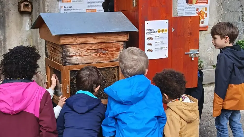 Public scolaire
