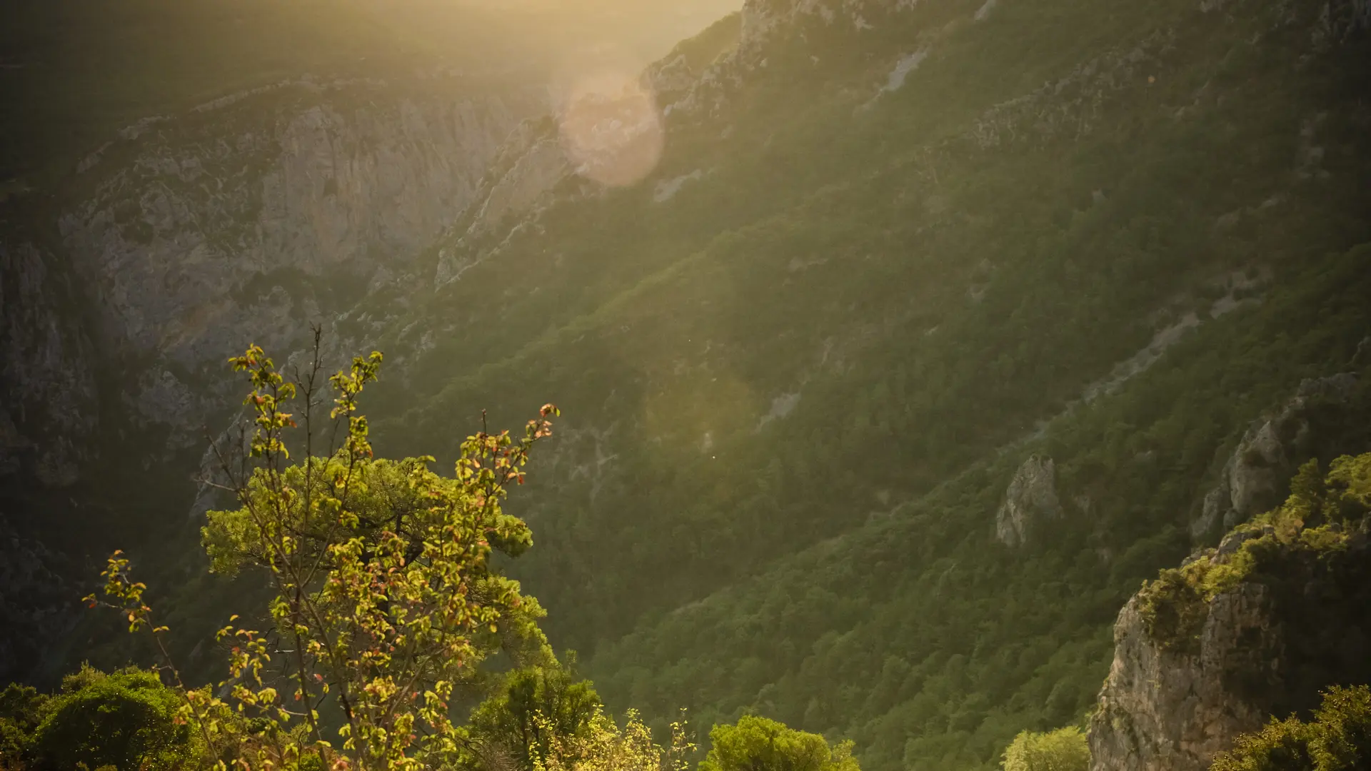 Sur le sentier du col d'Illoire