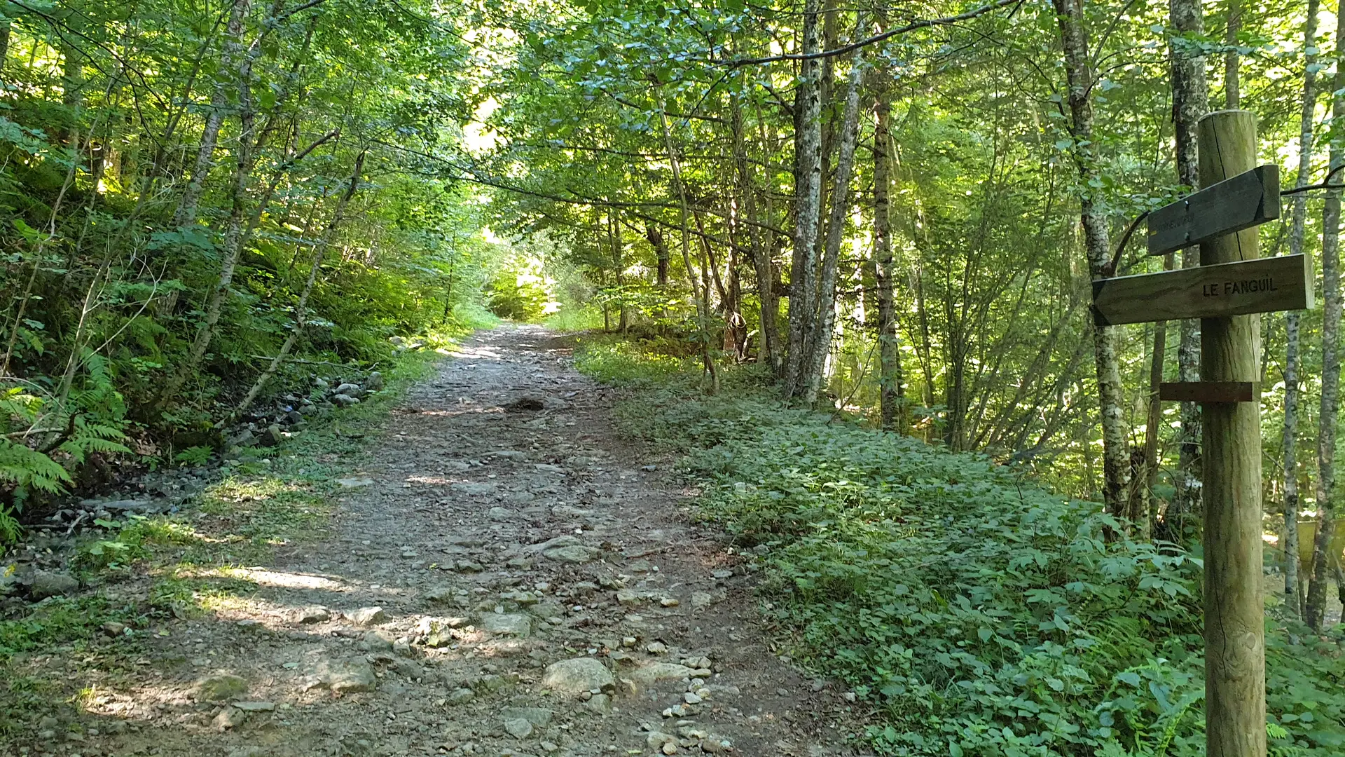 Chemin avec signalétique