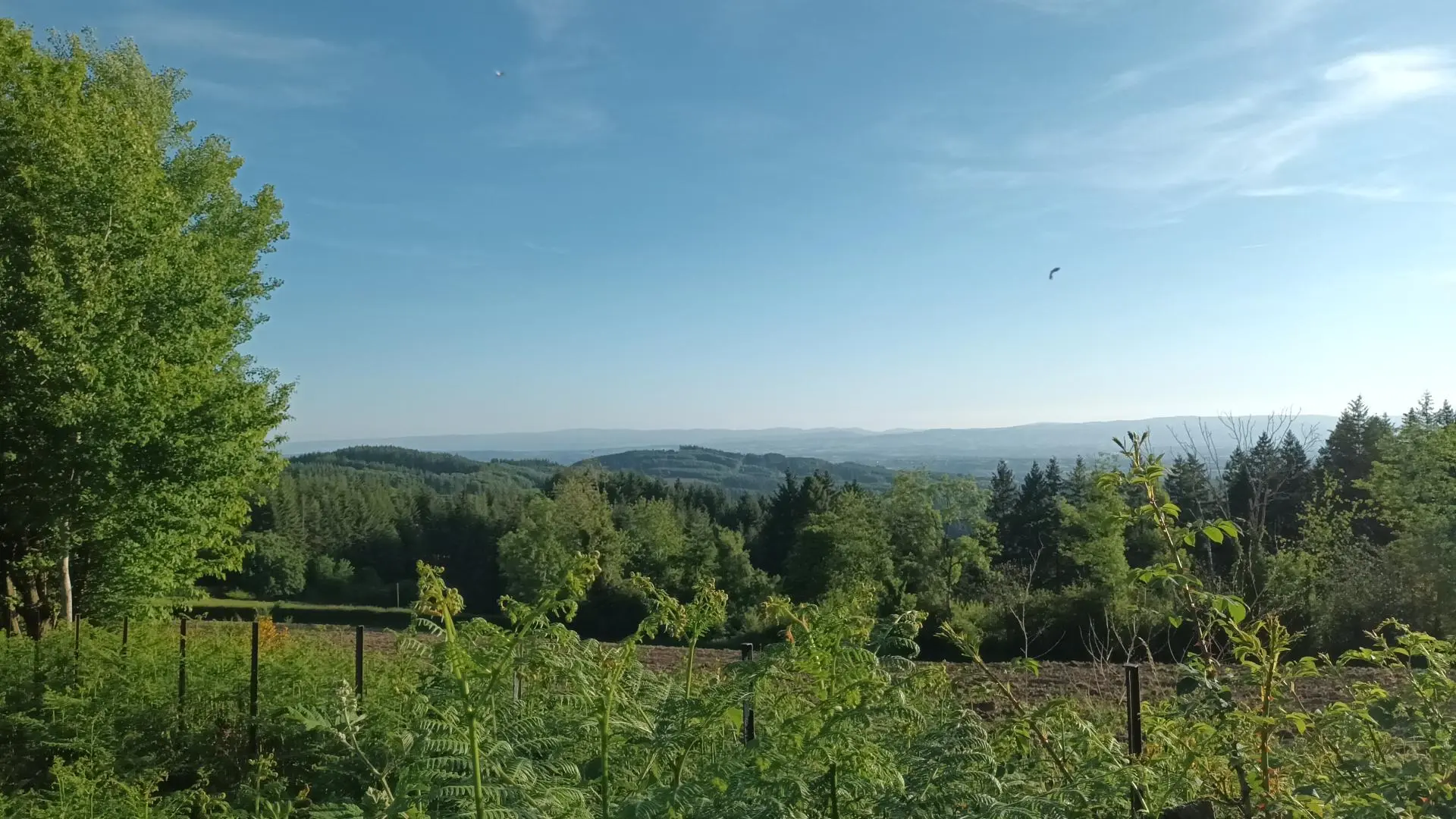Vue sur les monts de La Madeleine