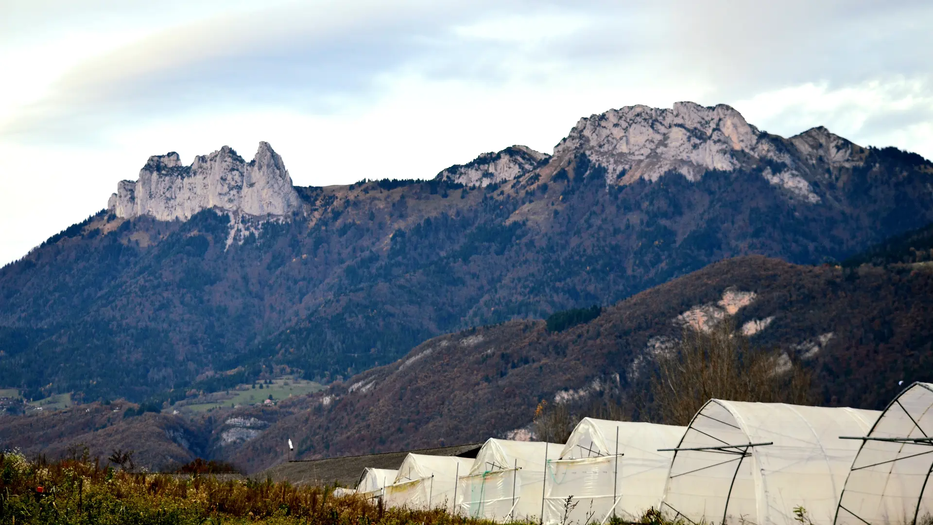 serre de maraichage devant les dents de Lanfon