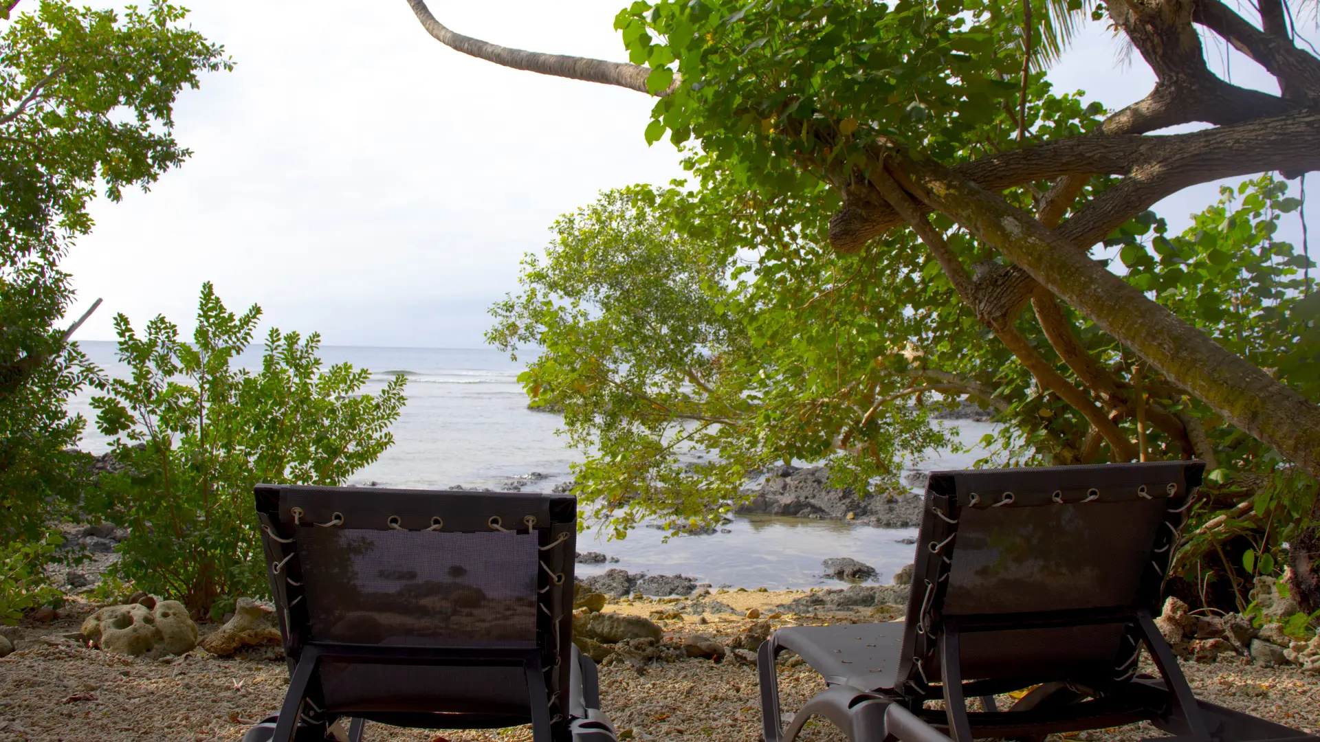 transat, relais d'eena, poindimié, côte océanienne
