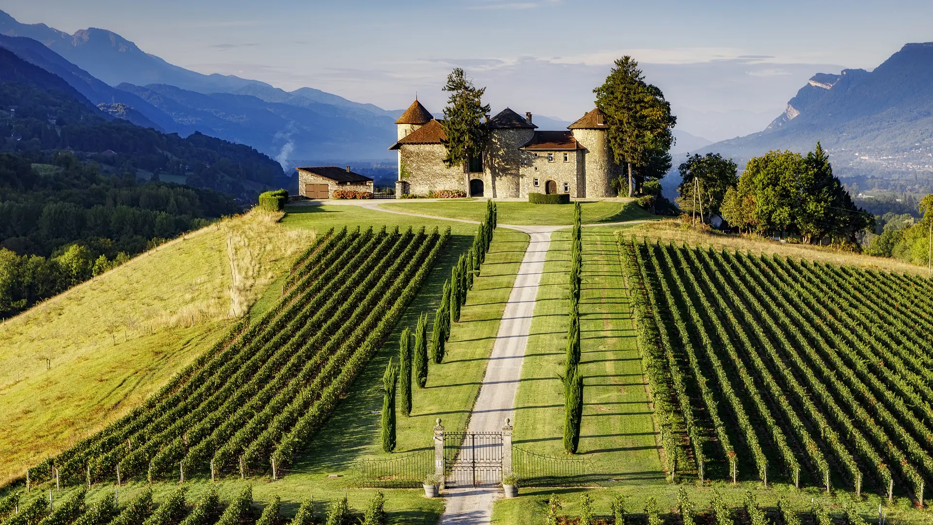 Vignoble et château chevalier Bayard