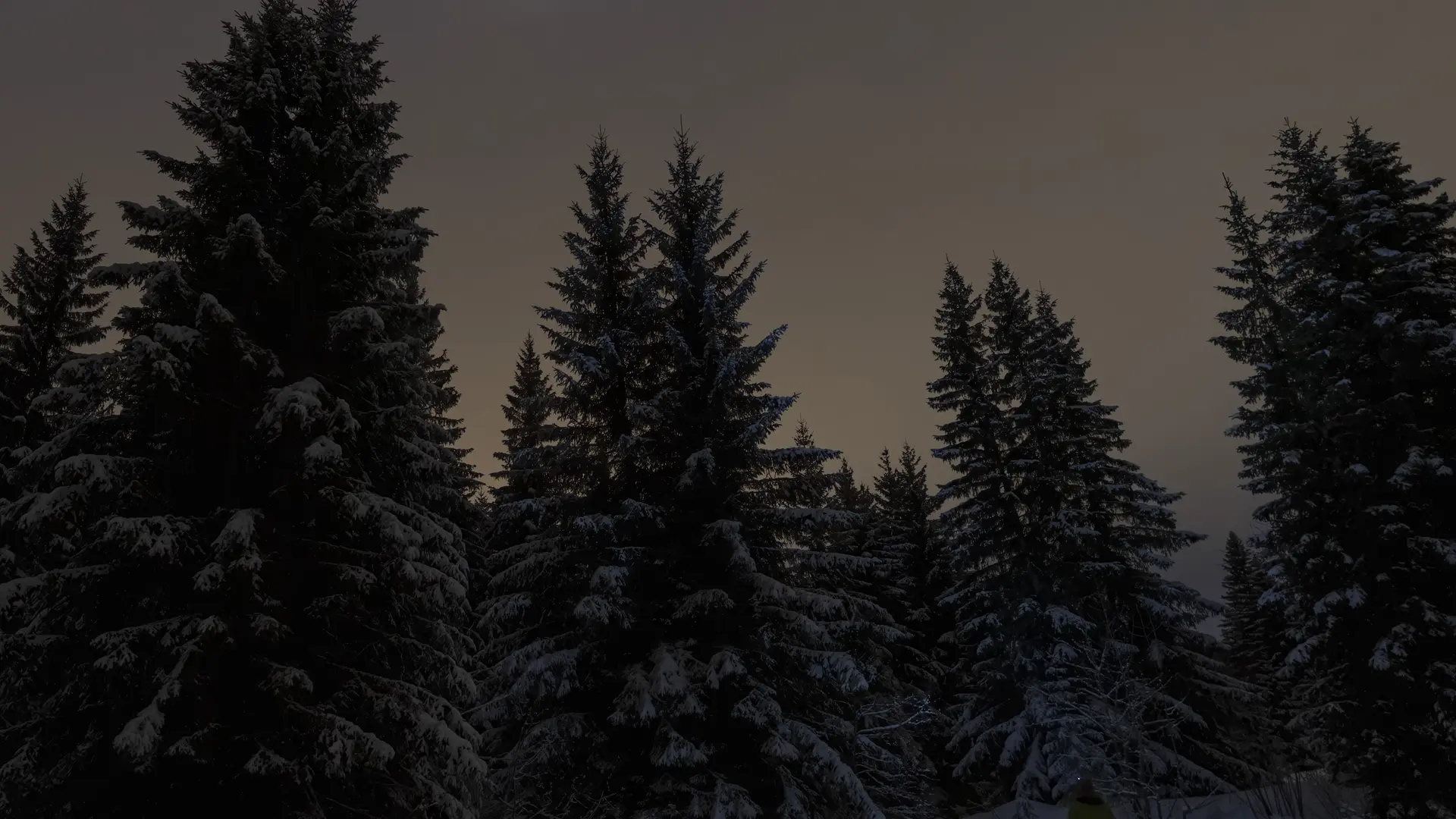 Randonnée nocturne la Féclaz