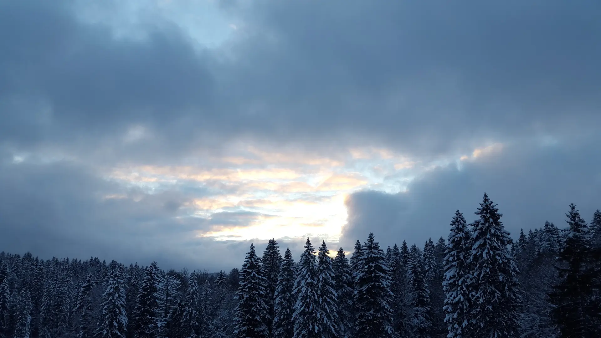 vue depuis la terrasse