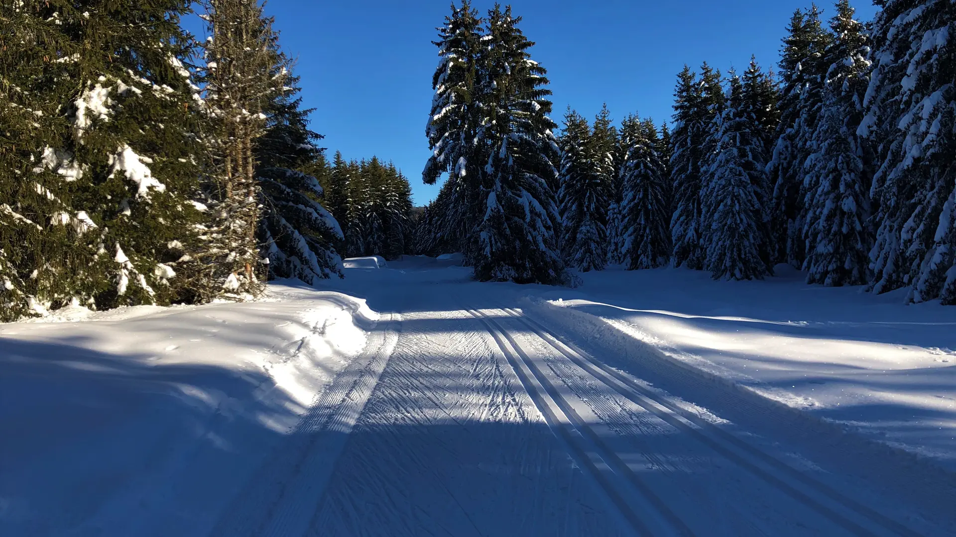 Ski nordique sur le Site de Lachat_Haut Valromey