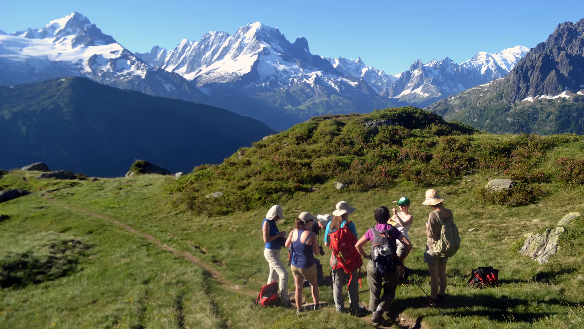 Sortie terrain botanique