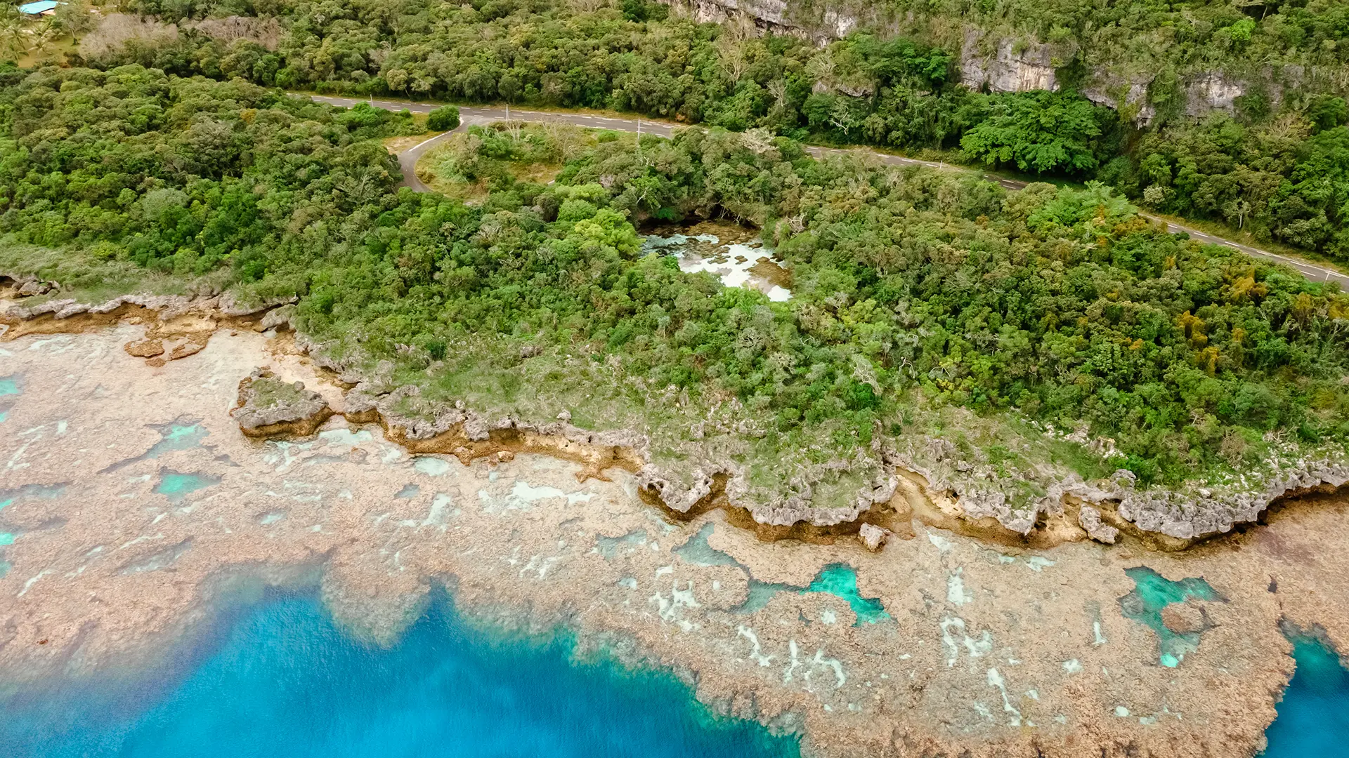 The aquarium from the sky