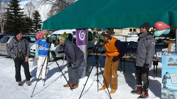 Festi'Nordic 2013