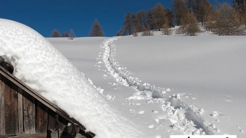 Raquettes à neige à Auron