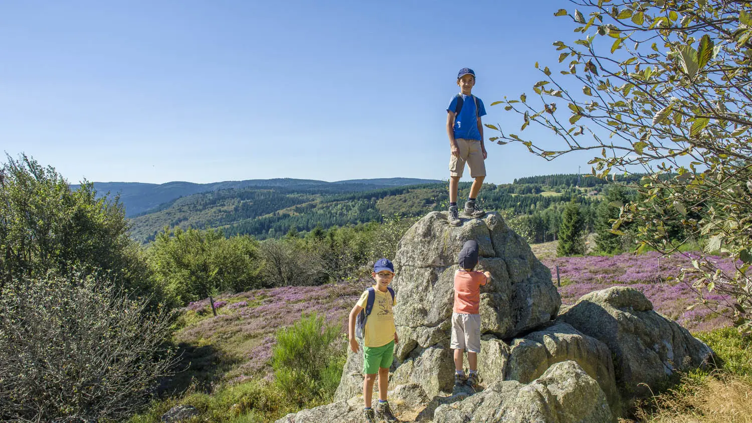 A la découverte de la tourbière du plateau de La Verrerie à Saint-Nicolas-des-Biefs