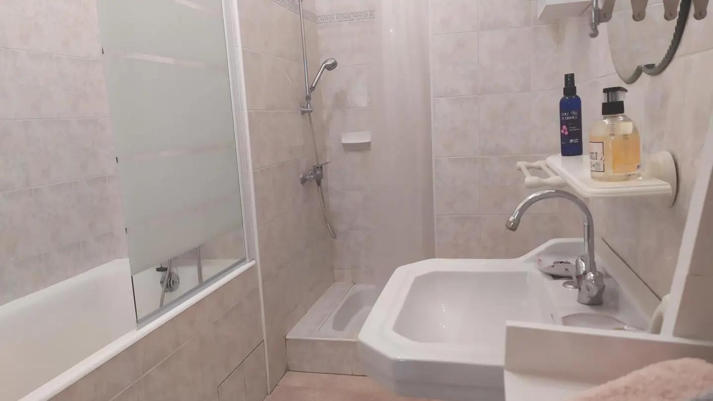 salle de bain  avec douche et baignoire