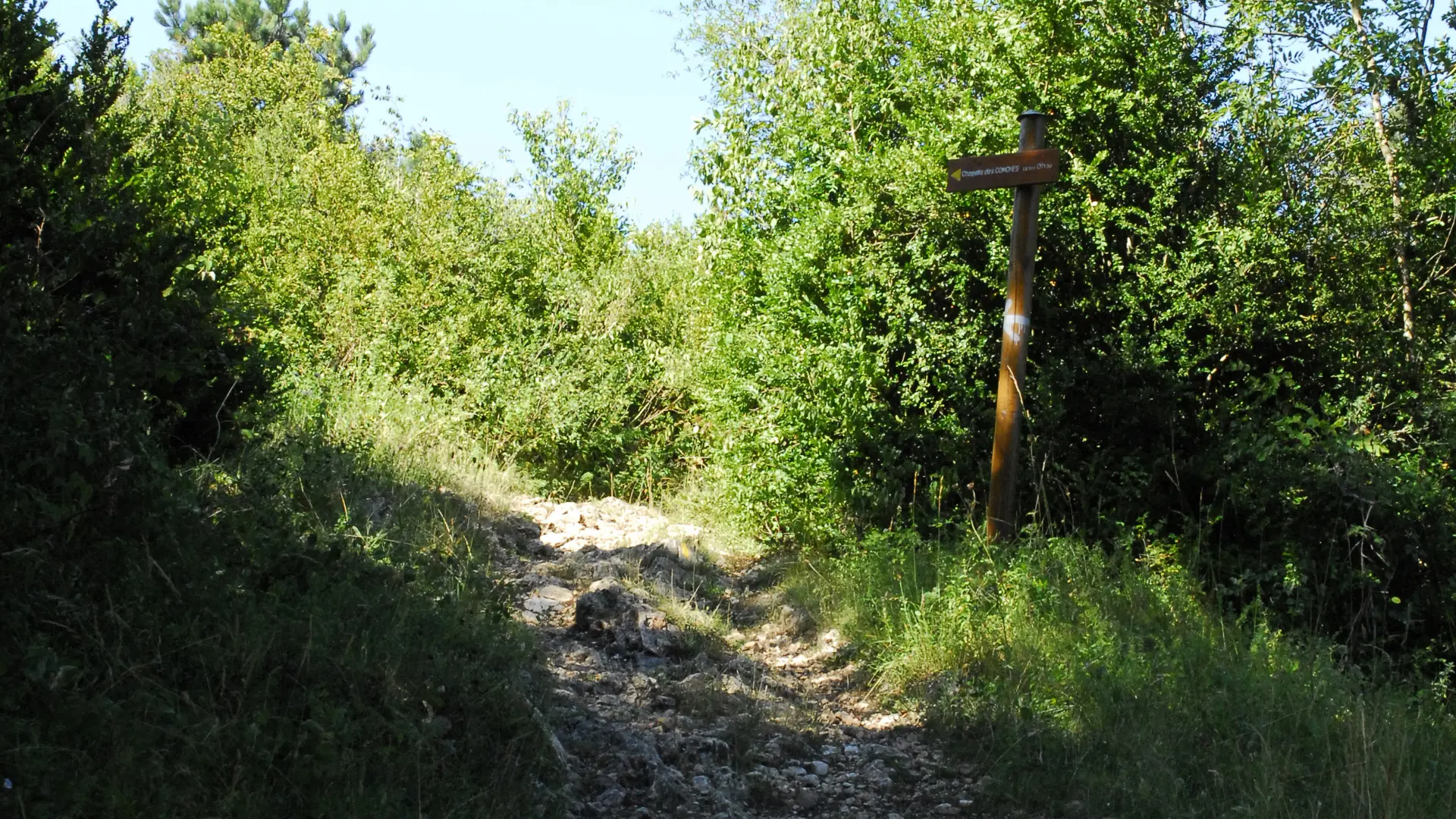 Randonnée Les Conches