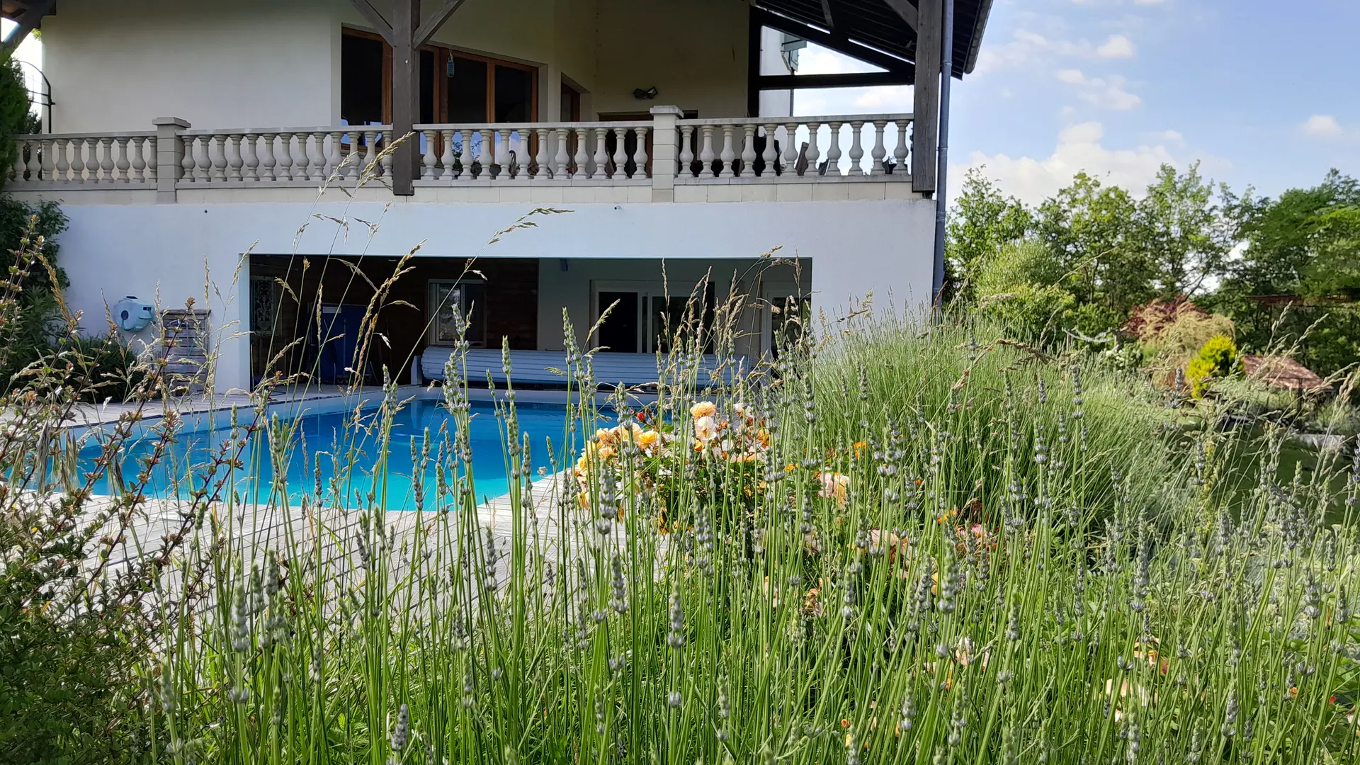 vue d'ensemble - piscine