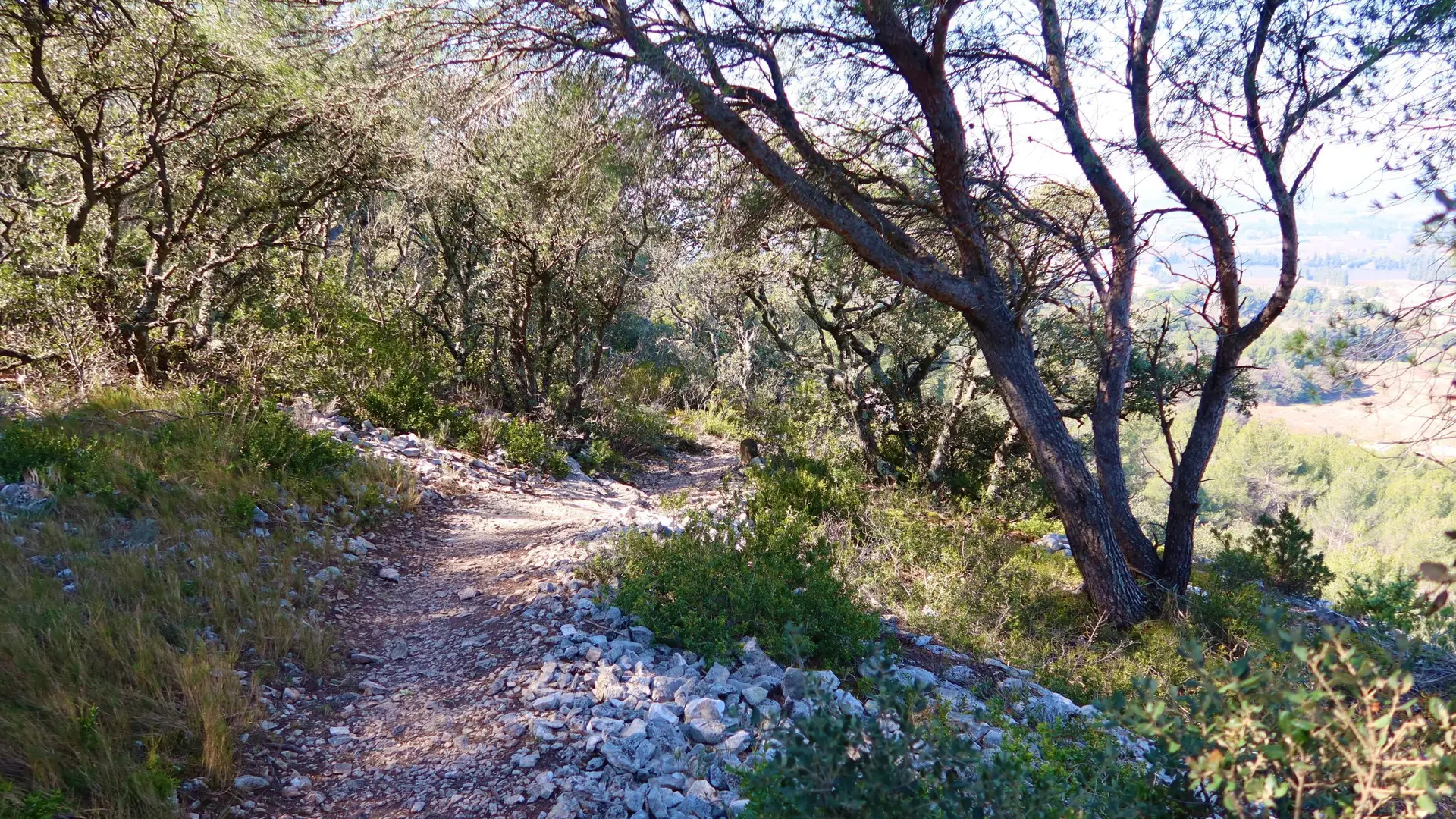Sur le sentier de découverte