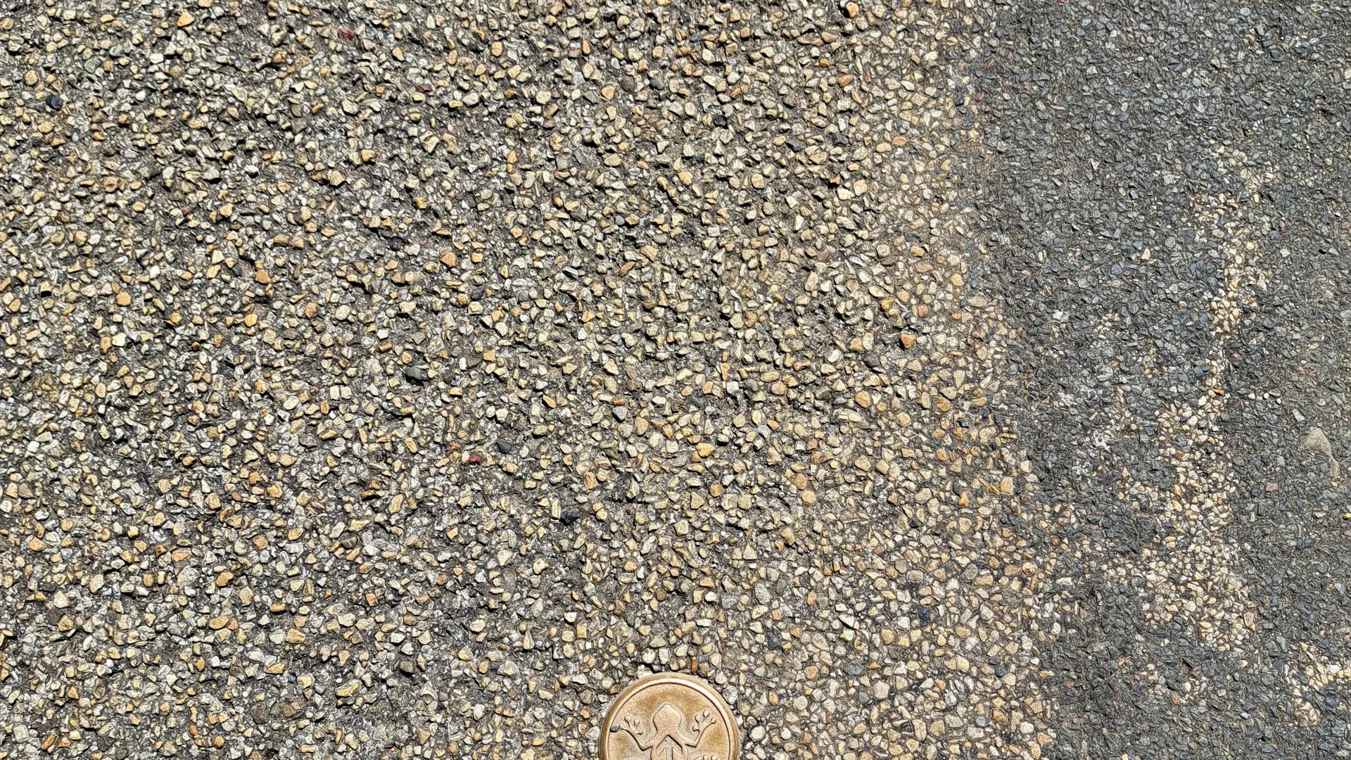 Carronnière de Mollardoury_Saint-Trivier-de-Courtes