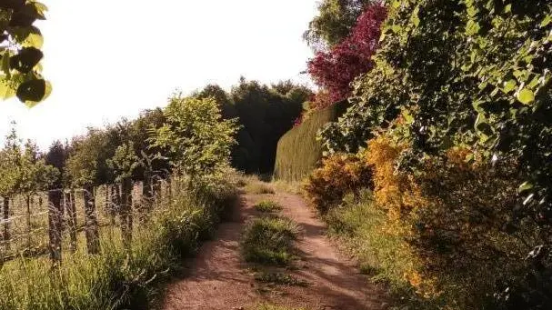 A la porte du gîte, chemin vers le bois