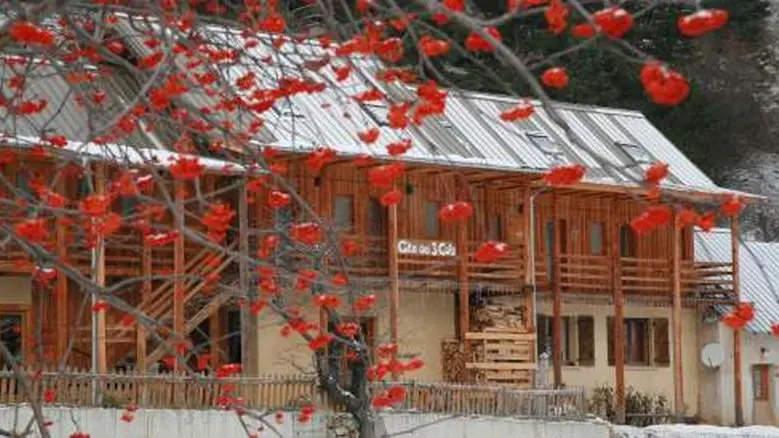 La Cantine des Gourniers REALLON