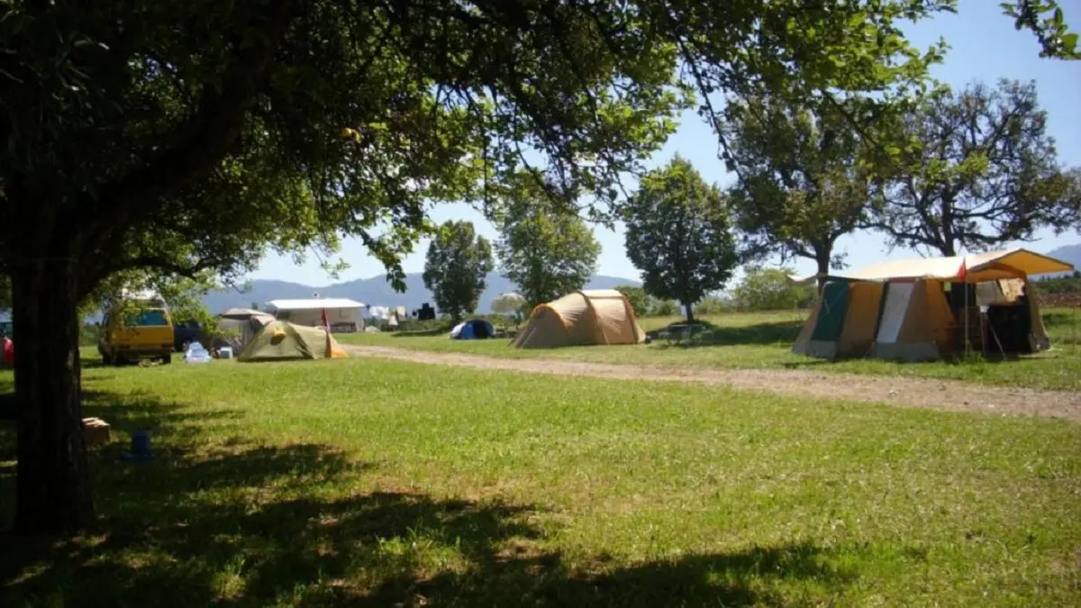 Emplacements ombragé dans un cadre calme et verdoyant