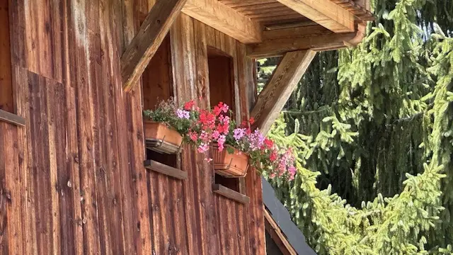 FENETRES
