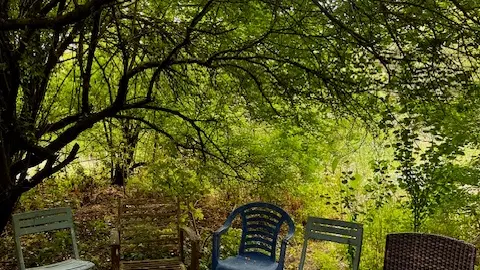 Coin ombragé pour se poser